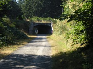 DSCN0348